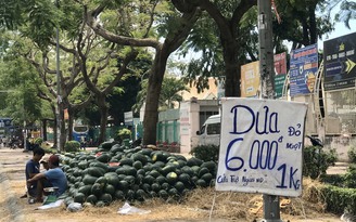 Dưa hấu 'giải cứu' từ Gia Lai tiếp tục xuống đường