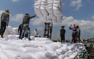 Giá xuất khẩu gạo Việt tăng mạnh