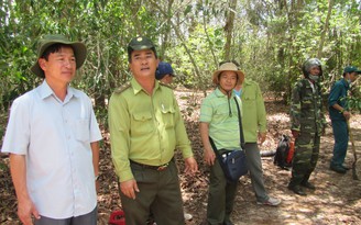 Bình Thuận: Hàng loạt sai phạm tại Khu bảo tồn thiên nhiên Tà Kóu