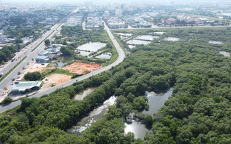 Bình Thuận hủy dự án đô thị để làm công viên sinh thái Hùng Vương