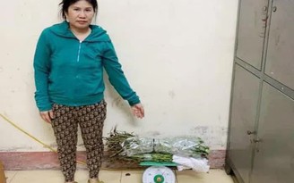 Hải Dương: Dùng cây thuốc phiện làm thảo dược ngâm rượu, 1 phụ nữ bị khởi tố