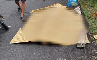 Thái Bình: Chở thú cưng, một người đàn ông tự gây tai nạn, tử vong