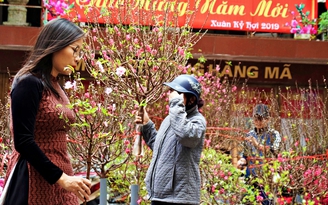 Tấp nập chợ hoa nổi tiếng nhất Hà thành