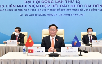 Chủ tịch Quốc hội đề xuất nghị viện ASEAN trao thêm quyền cho chính phủ chống dịch