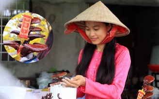 Cô gái miền Tây thu tiền triệu nhờ trồng bonsai nấm linh chi chưng tết