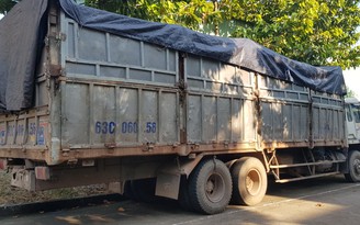 Tài xế đổ trộm rác thải trong rừng cao su tại Bình Phước bị rắn cắn