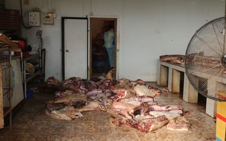 Bình Phước: Phát hiện 790 kg thịt heo đã đổi màu và bốc mùi hôi