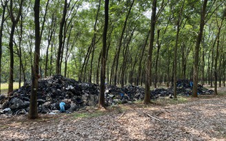 Bình Phước: Truy tìm người đổ trộm 20 tấn rác thải công nghiệp hôi thối nồng nặc