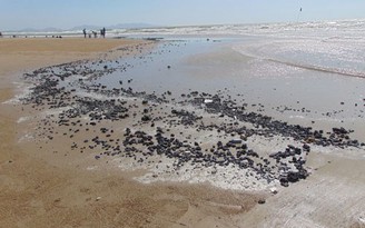 Xuất hiện khoảng 2 tấn dầu vón cục tại bờ biển Quảng Trị