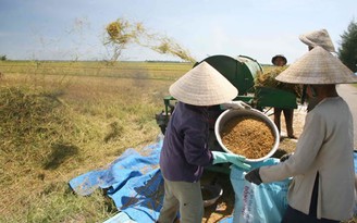 Giá trị gia tăng trong nông nghiệp 'giậm chân' một thập niên