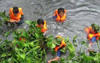 Tây Ninh chi hơn 1,2 tỉ đồng để dẹp lục bình