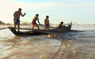 Đồng Tháp cấm khai thác thủy sản ngoài tự nhiên trong 2 tháng
