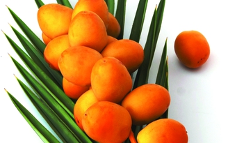 Làm đẹp với chà là