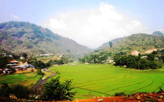 Tăng năng suất lúa, đảm bảo an ninh lương thực