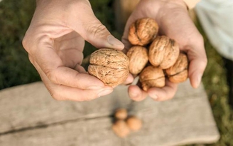 Một nắm quả hạch mỗi ngày giúp kéo dài tuổi thọ