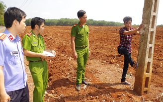 Bắt nghi phạm thực hiện 6 vụ trộm cáp viễn thông