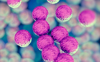 Những cách tự bảo vệ mình khỏi siêu vi khuẩn kháng thuốc