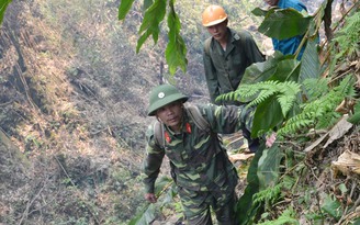 Mở rộng vùng tìm kiếm du khách mất tích khi chinh phục Fansipan