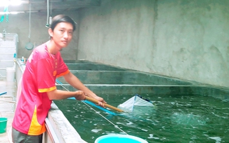 Tự tạo cơ hội: Làm giàu nhờ ương cua giống