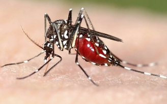 Tăng cường phòng chống Zika lan rộng