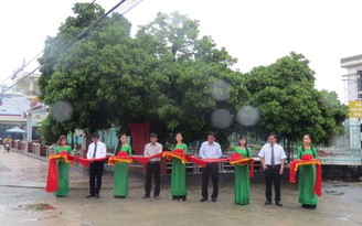 3 cây cổ thụ ở Quảng Ngãi được công nhận Cây di sản Việt Nam