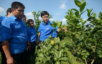 Thúc đẩy đam mê, tinh thần khởi nghiệp trong thanh niên