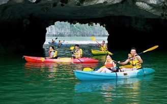 Sẽ tổ chức dịch vụ chèo thuyền Kayak trên vịnh Hạ Long
