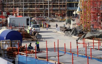 Bàn phương án hỗ trợ lao động VN tại Qatar