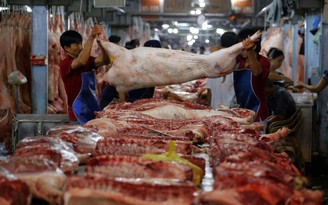 VN sẽ cấm sử dụng kháng sinh trong chăn nuôi