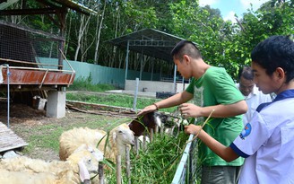 Công cụ phát hiện sớm trẻ tự kỷ