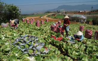 Năng suất lao động người Việt thua Lào