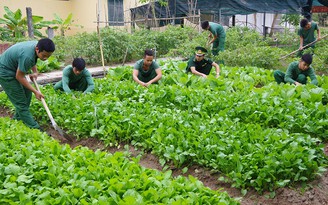 Lính biên phòng trên đảo chuẩn bị đón tết