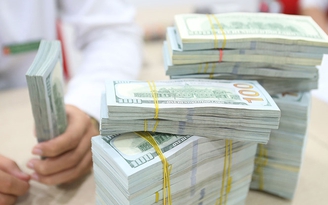 Tỷ giá sẽ chịu áp lực lớn trong năm 2018