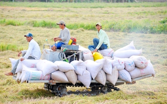 Nông dân trúng đậm vụ lúa đông xuân