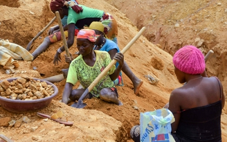 Công ty Trung Quốc bị tố tàn phá Cameroon