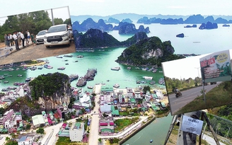 Giảm sốt đất ở đặc khu