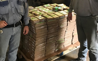 Hơn 500 kg ma túy trong thùng chuối