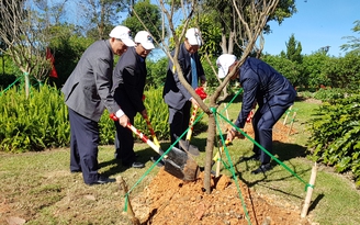 Thêm 125 cây anh đào Nhật Bản được trồng tại Đà Lạt