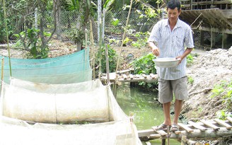 Bí quyết làm giàu: Vươn lên từ nuôi dê và ếch