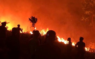 Người phụ nữ đốt cỏ gây cháy rừng ở Hà Tĩnh lãnh 2 năm tù