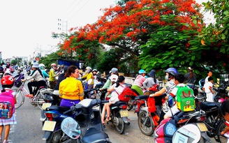 Câu chuyện giáo dục: Học sinh thời... đưa đón