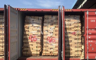 Giữ hơn 100 container gỗ xuất lậu trốn thuế