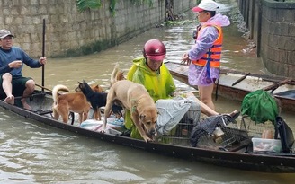 Cư dân mạng quan tâm: 'Đại hồng thủy' kinh hoàng ở Quảng Bình