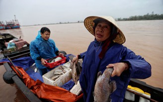 Hướng về miền Trung: Mất trắng do lũ