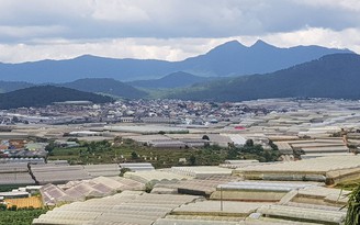 Cấm san ủi đất, hạn chế xây dựng nhà kính khu vực núi Lang Biang