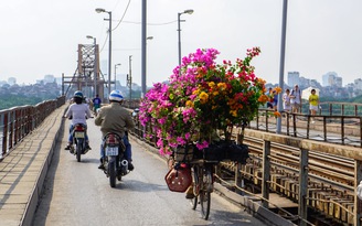 Thương gánh hoa nhỏ chở cả hồn Hà Nội