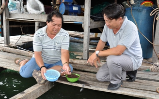 Bí quyết làm giàu: Thu lãi hàng trăm triệu từ nuôi cá lồng bè