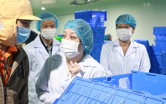 TP.HCM: 10 năm, phạt vi phạm an toàn thực phẩm gần 171 tỉ đồng