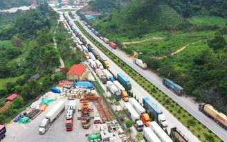 Lăng kính bạn đọc: Hãy thương nông dân, tìm giải pháp giúp tiêu thụ nông sản