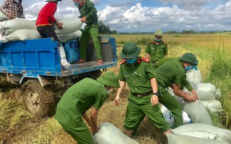 Công an thu hoạch lúa giúp dân